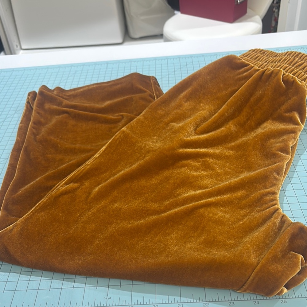 Elodie Gold velour pants